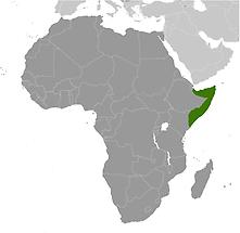 Somalia in Africa
