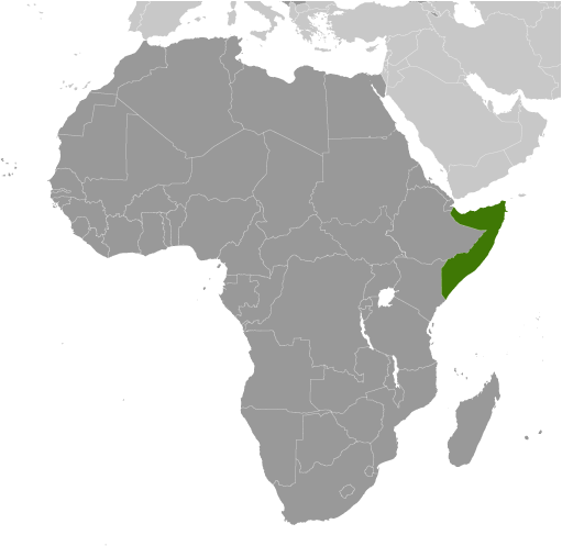 Somalia in Africa