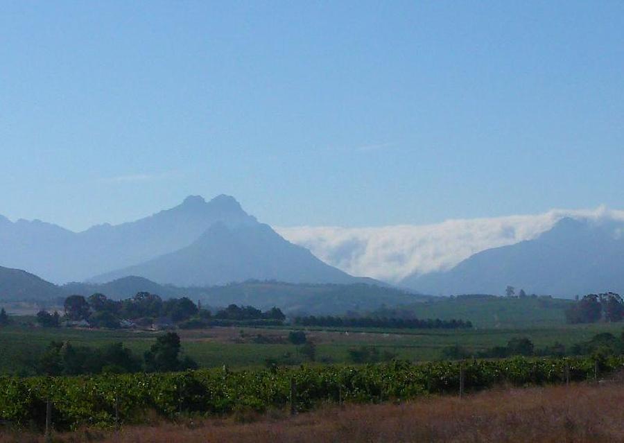 On the way to Stellenbosch