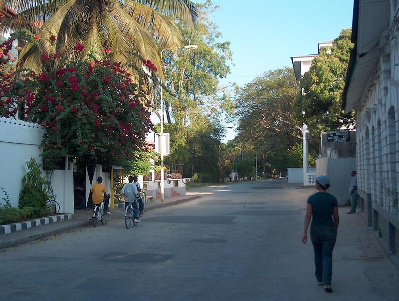 Street scene, Zanzibar