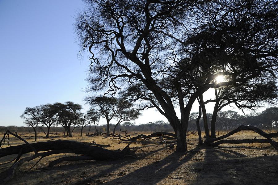 Hwange National Park