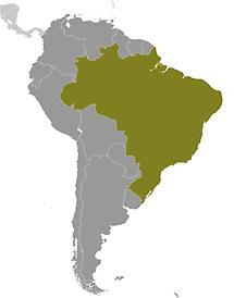 Brazil in South America