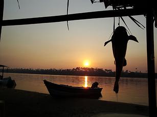 A taste of the amazon river experiende