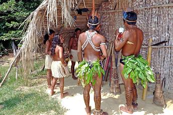 A taste of the amazon river experiende