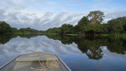 A taste of the amazon river experiende