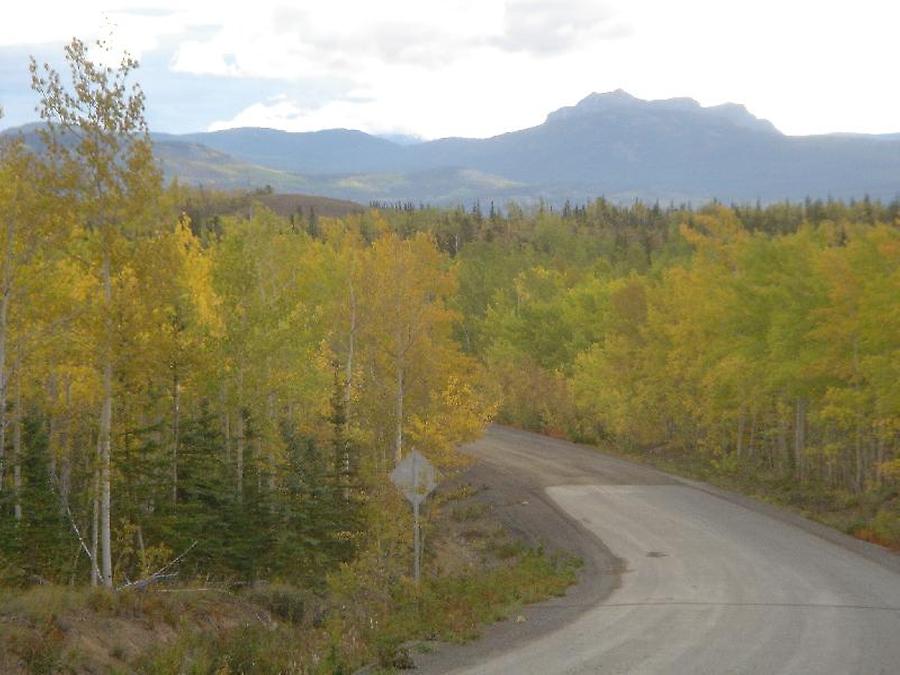 Mackenzie Highway northward, Photo: H. Maurer, Fall 2005