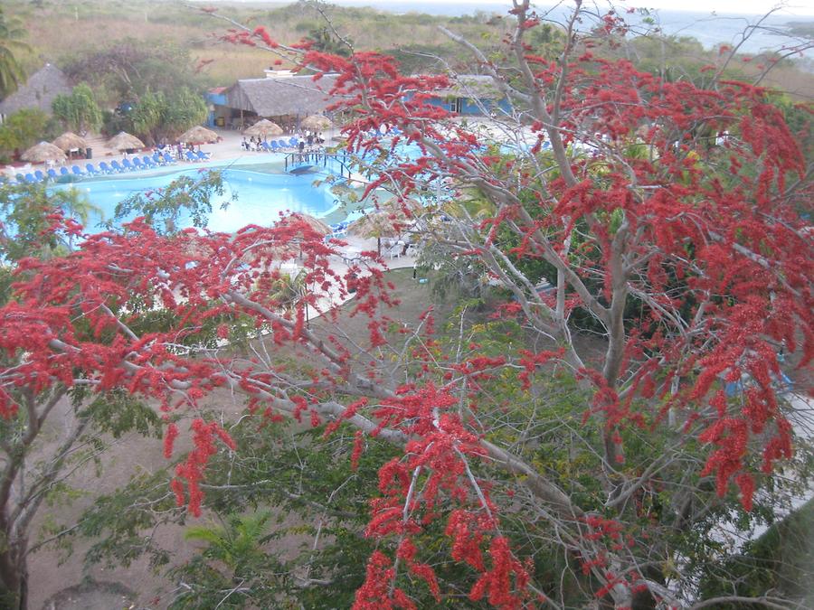 Cienfuegos - Hotel Pasacabello - Blick aus dem Hotelzimmerfenster