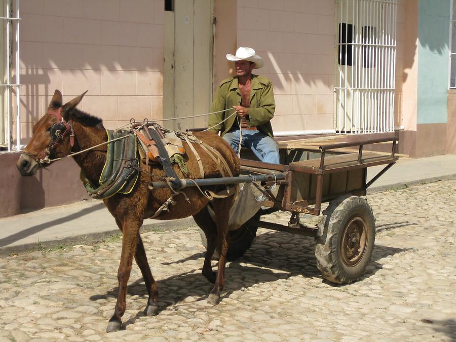 Kuba - Pferdewagen