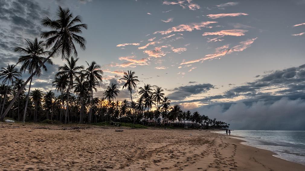 Punta Cana Punta Cana