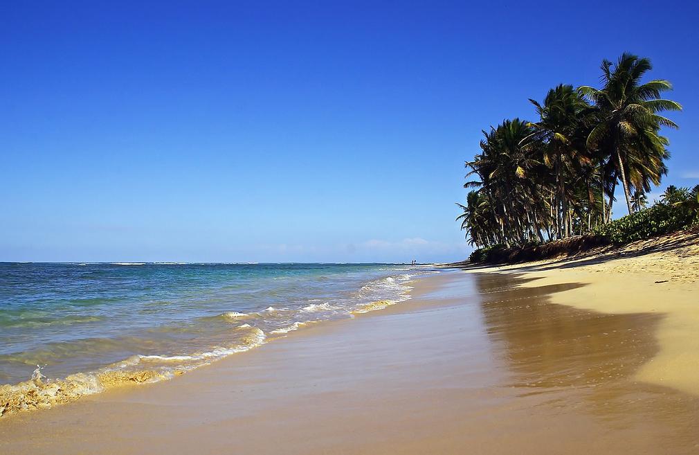 Punta Cana Punta Cana