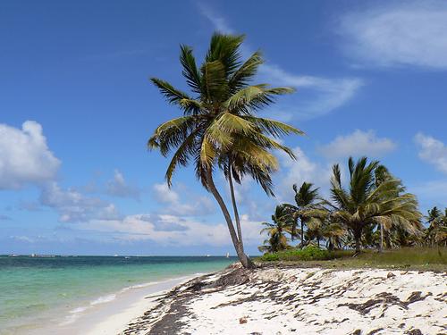 Punta Cana Punta Cana