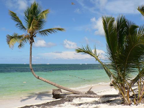 Punta Cana Punta Cana