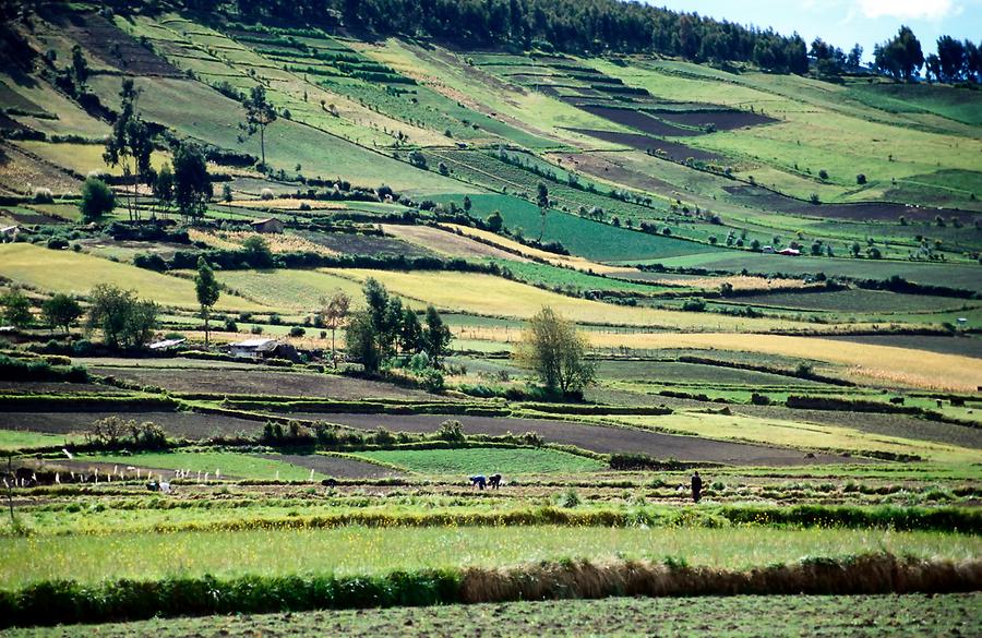 Landscape near Riobamba