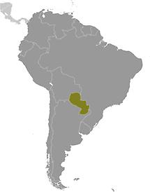 Paraguay in South America
