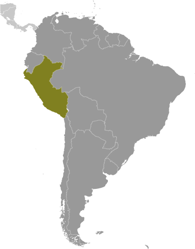 Peru in South America