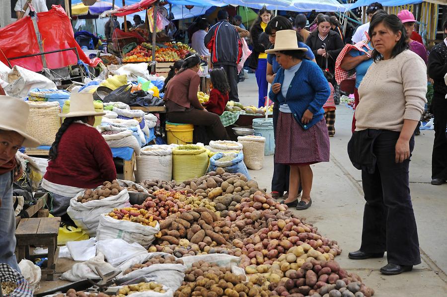 Celedin - Potato Market