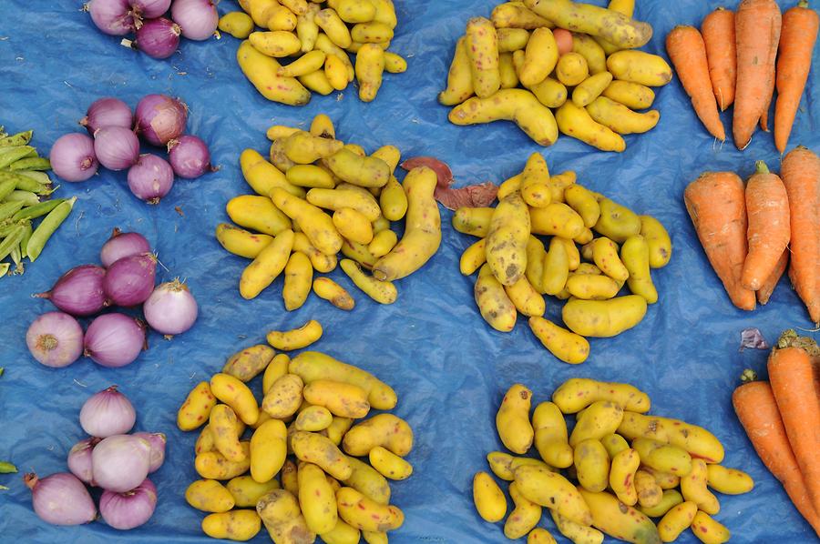 Celedin - Potato Market
