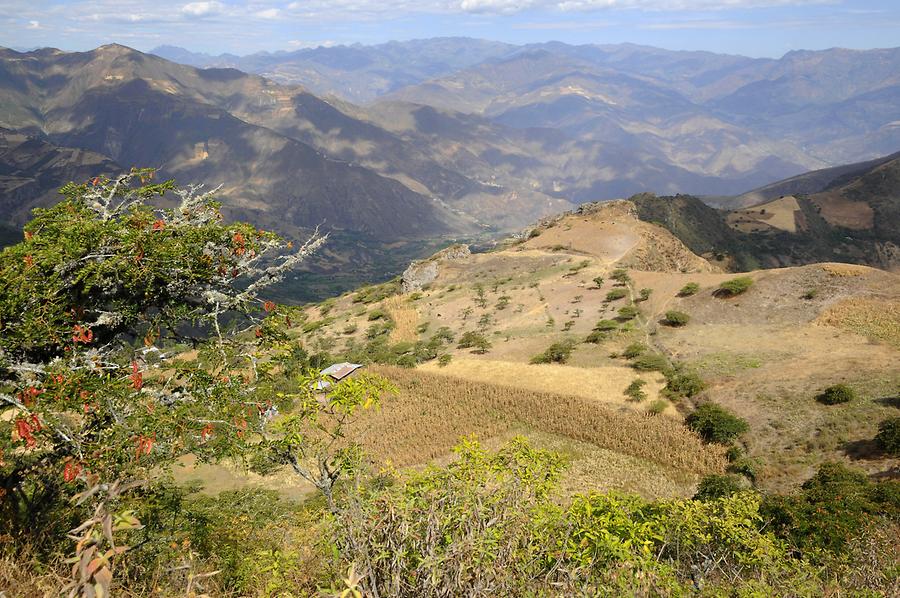 Landscape near Kunturhuasi