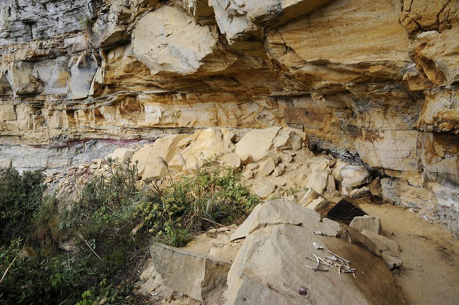 Karajia - Rock Cliff; Bones