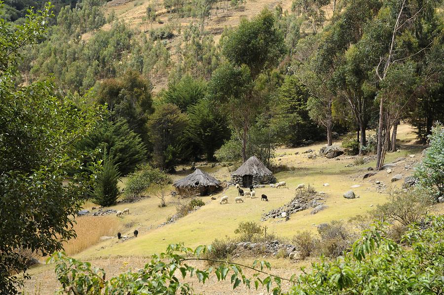 Landscape near Tambladera