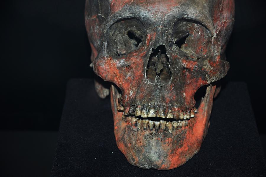 Sicán National Museum - Skull