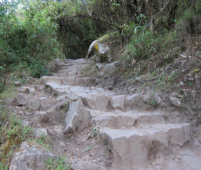 Inca Trail (3)