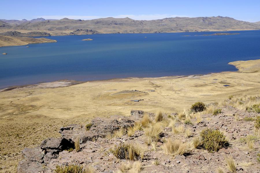 Altiplano - Laguna Lagunillas