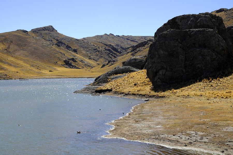 Altiplano - Laguna Lagunillas