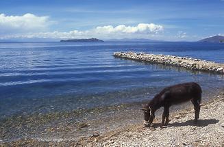 Lake Titicaca (1)