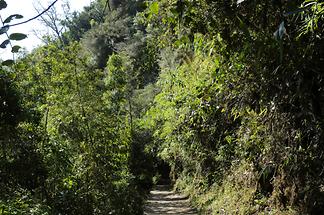 Inca Trail near Machu Picchu (1)