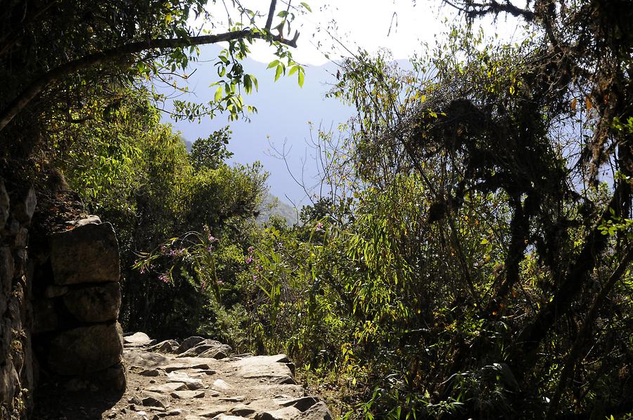 Intipunku - Inca Trail