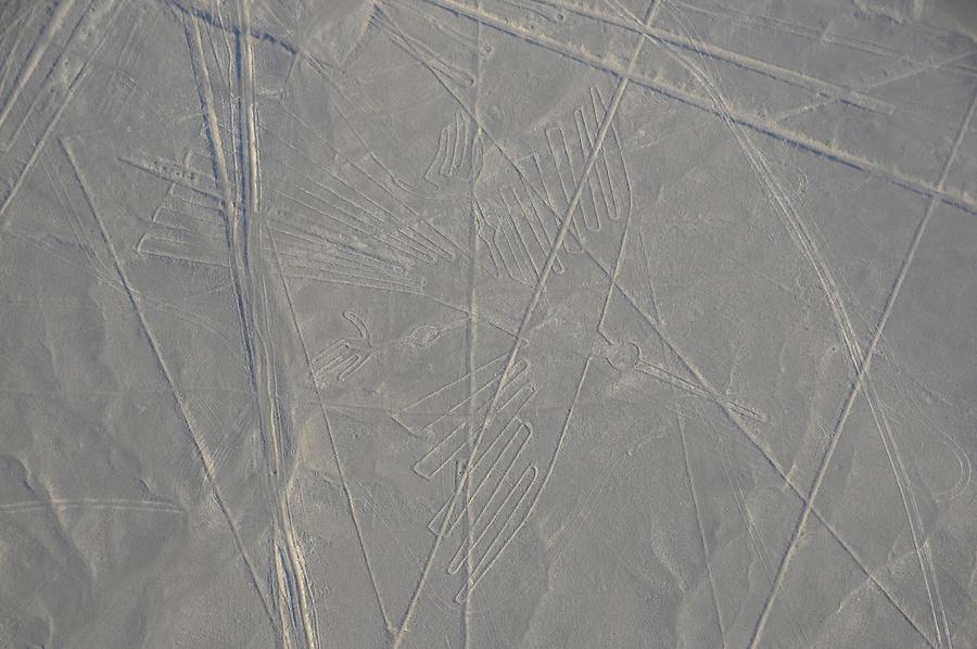 Lines and Geoglyphs: 'Condor'