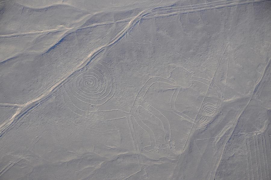 Lines and Geoglyphs: 'Monkey'
