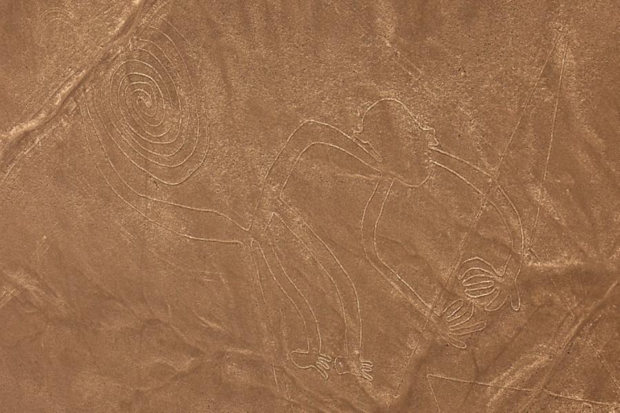 Nazca lines, the Monkey