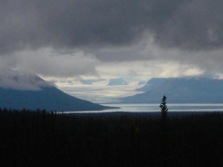 En route from Chicken to Anchorage., Photo: H. Maurer, 2005