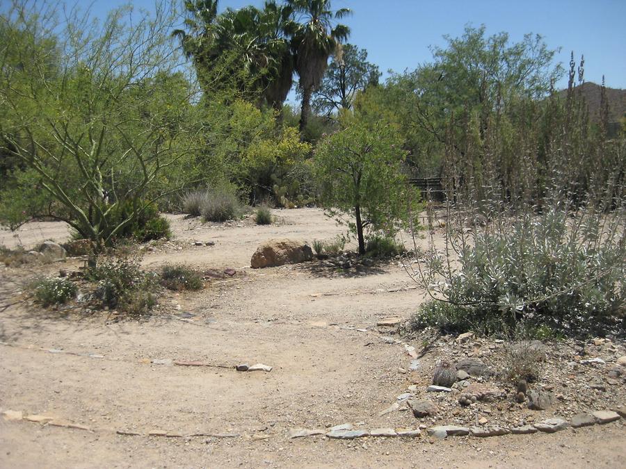 Tucson Arizona-Sonora Desert Museum Labyrinth