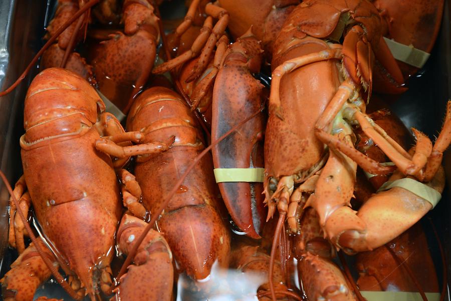 Quincy Market - Lobster