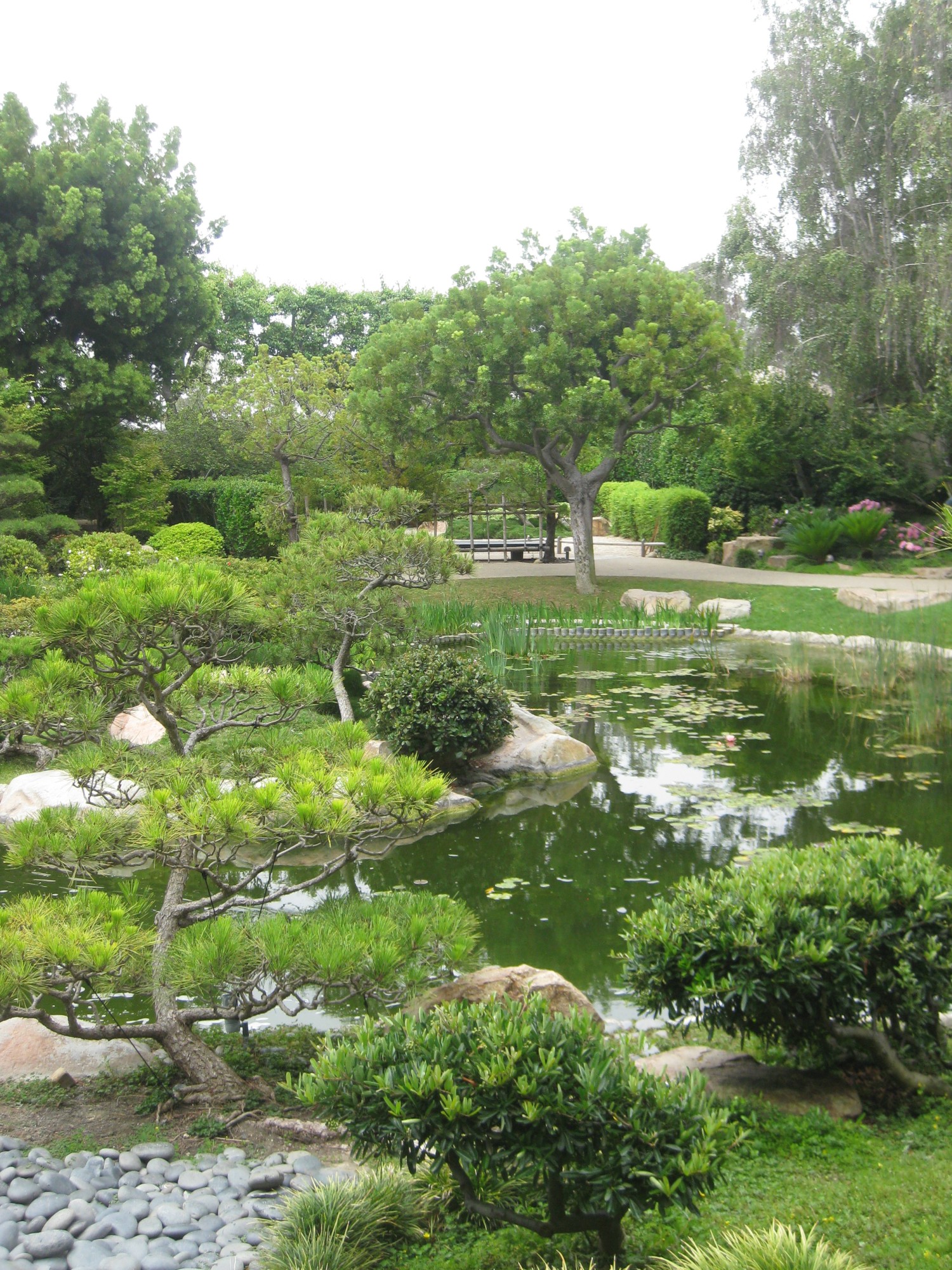 La Ma Long Beach Earl Burns Miller Japanese Garden Csulb 13