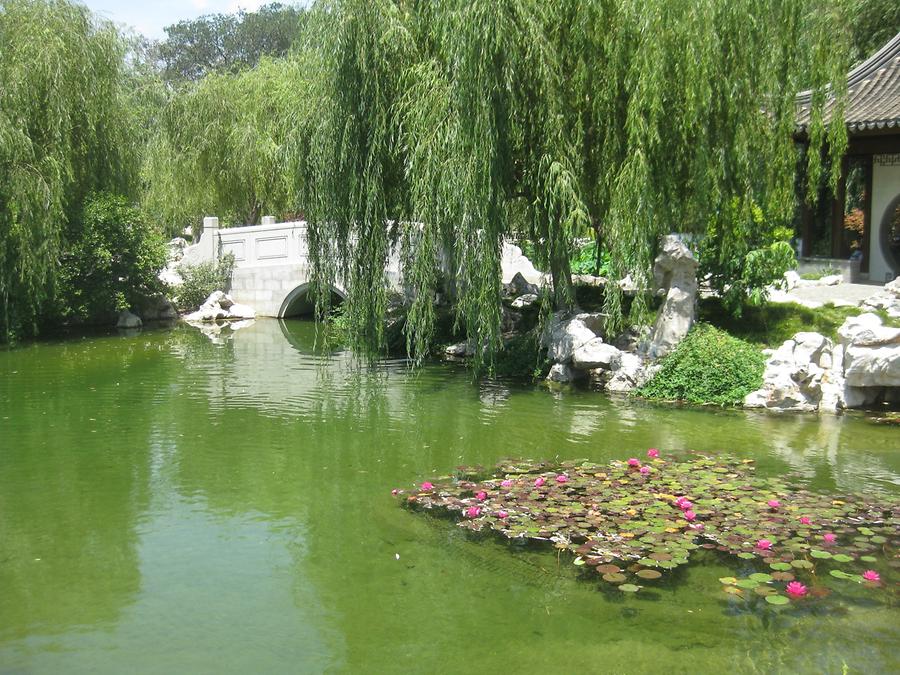 LA MA San Marino The Huntington Chinese Garden