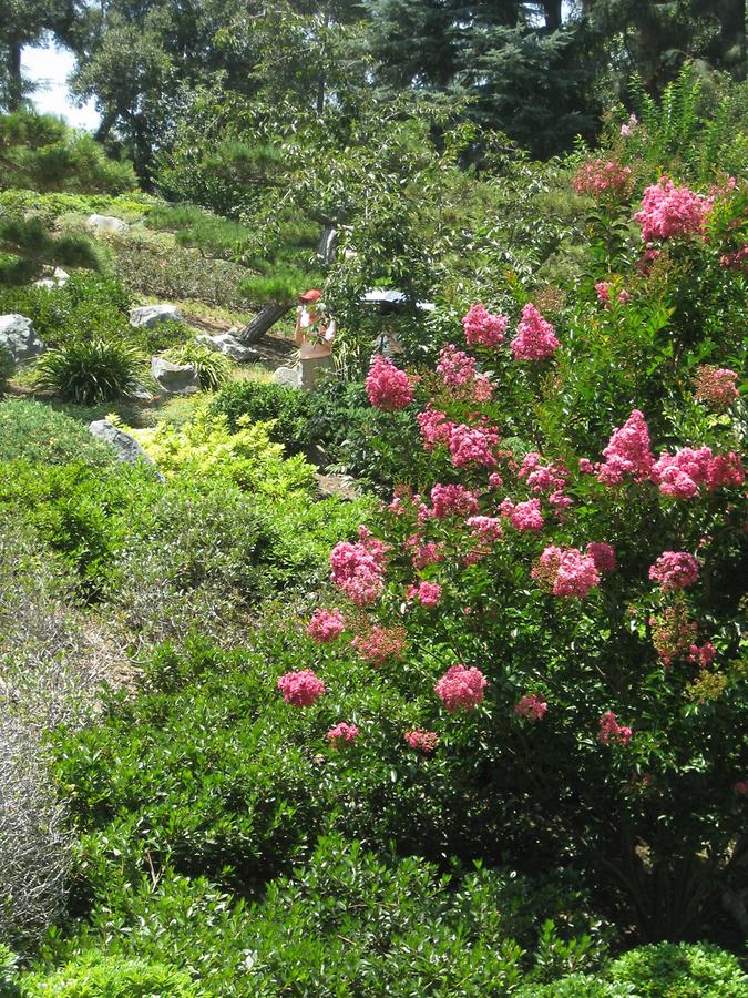 LA MA San Marino The Huntington Japanese Garden