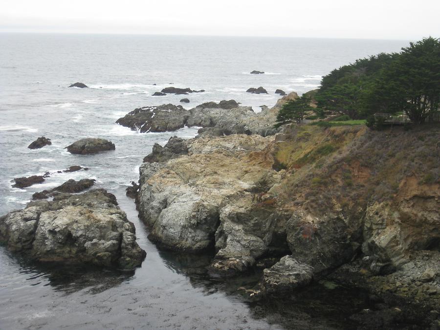 Big Sur Point Lobos