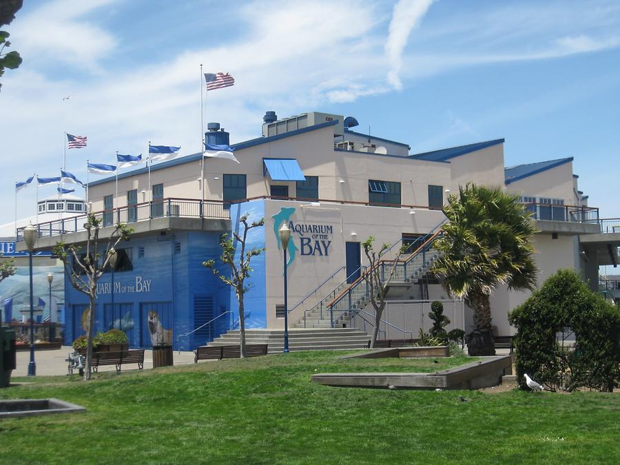 San Francisco Aquarium of the Bay