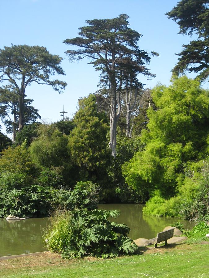 San Francisco Golden Gate Park Botanical Garden