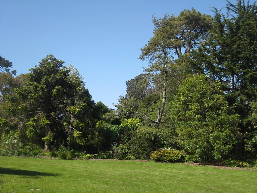 San Francisco Golden Gate Park Botanical Garden