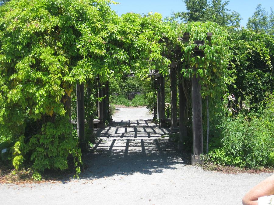 Sonoma Valley Glen Ellen Quarryhill Botanical Garden