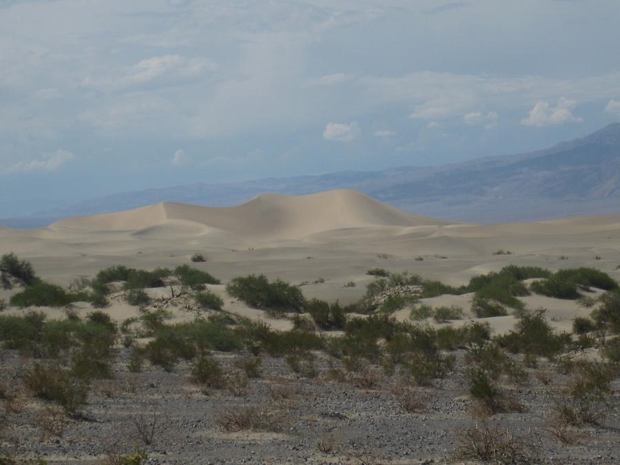 Death Valley National Park Mesquite Flat Dunes