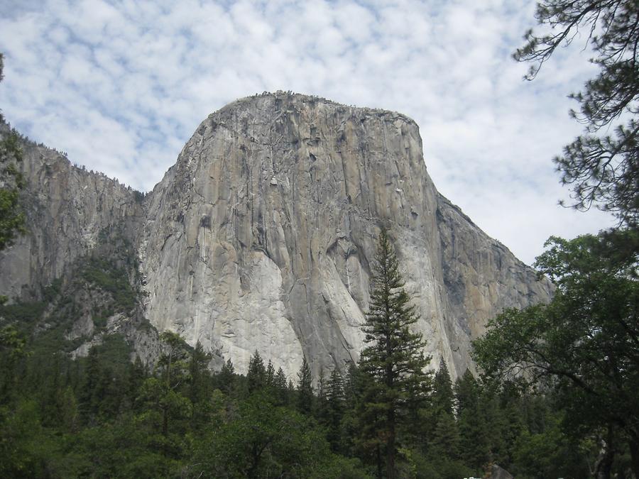 Yosemite National Park Yosemite Valley El Capitan