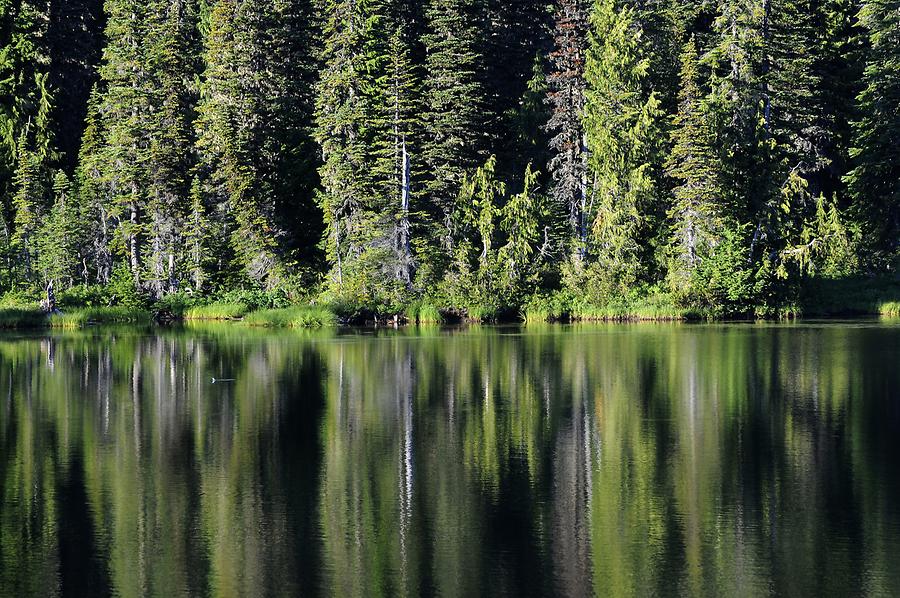 Mount Rainier - Reflection Lake
