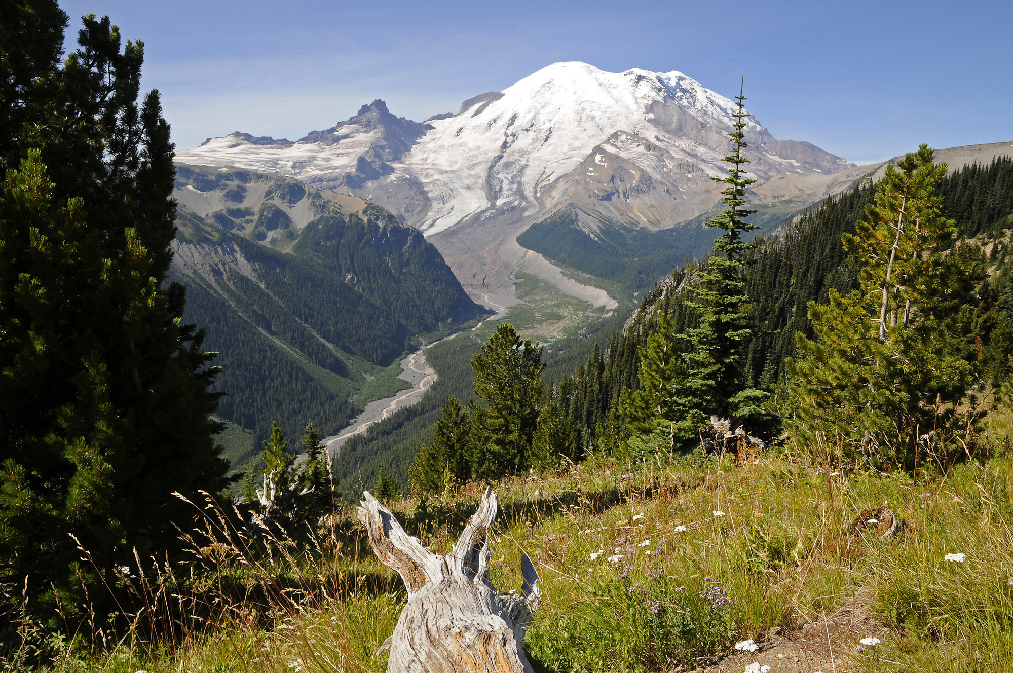 Mount Rainier (1) Cascade Range Pictures United States in Global