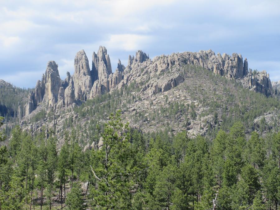 Custer State Park - The Needles